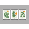 tropical leaf Wall Sticker for Home Decor